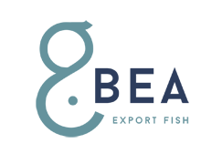 G.BEA EXPORT FISH | Sale of pelagic species