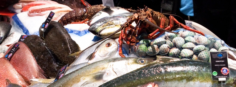 SEAFOOD EXPO GLOBAL & SEAFOOD PROCESSING GLOBAL 2015 SEAFOOD EXPO GLOBAL & SEAFOOD PROCESSING GLOBAL 2015