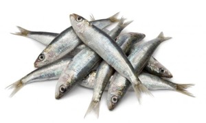 sardinas_xl